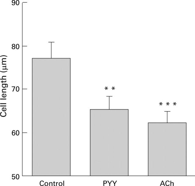 Figure 2  