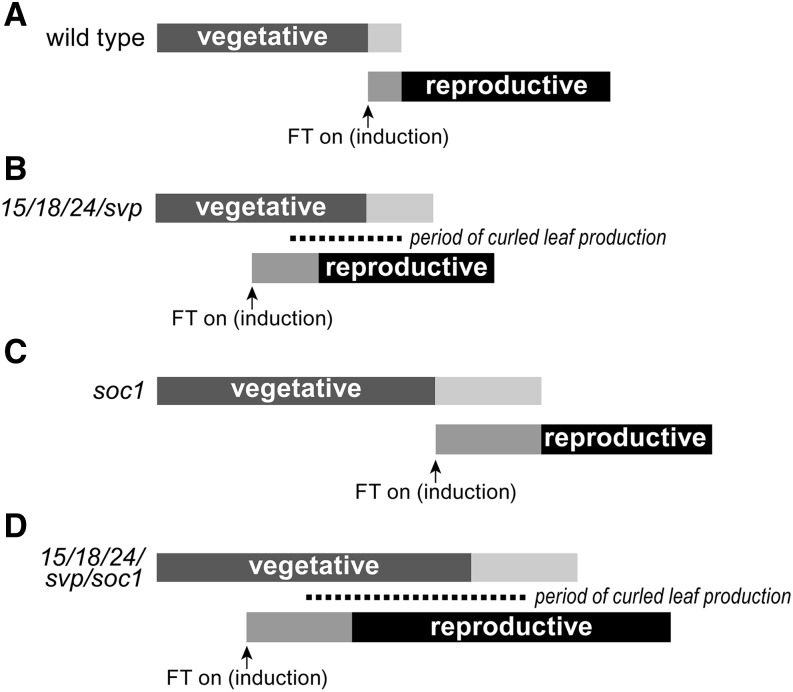 Figure 9.