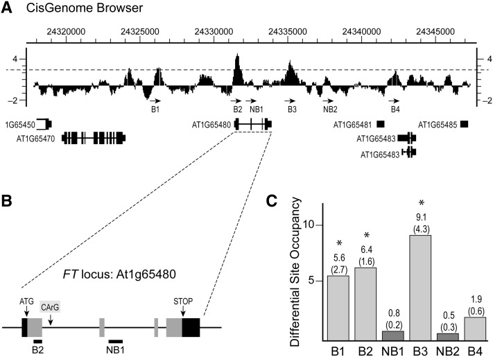 Figure 2.