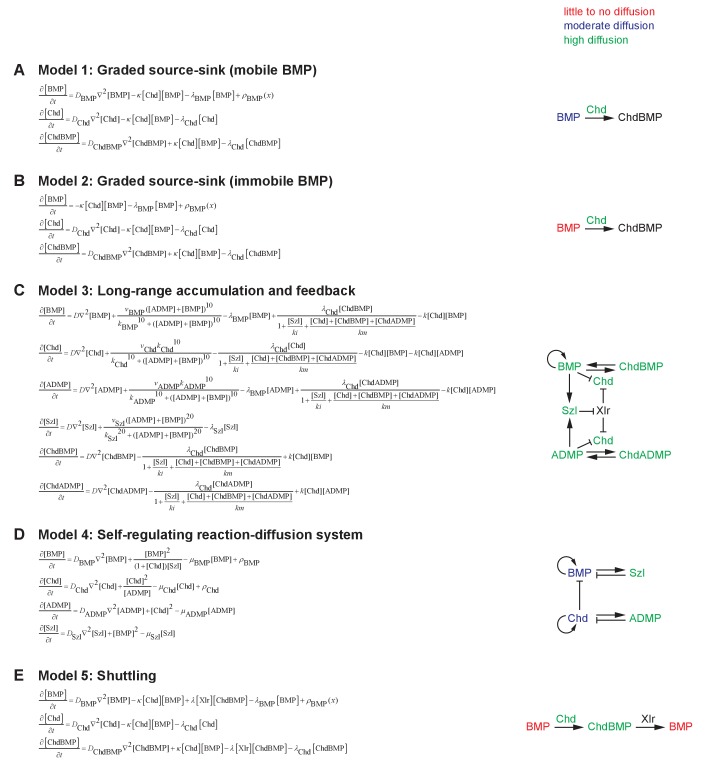 Figure 1—figure supplement 1.