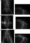 Fig 4