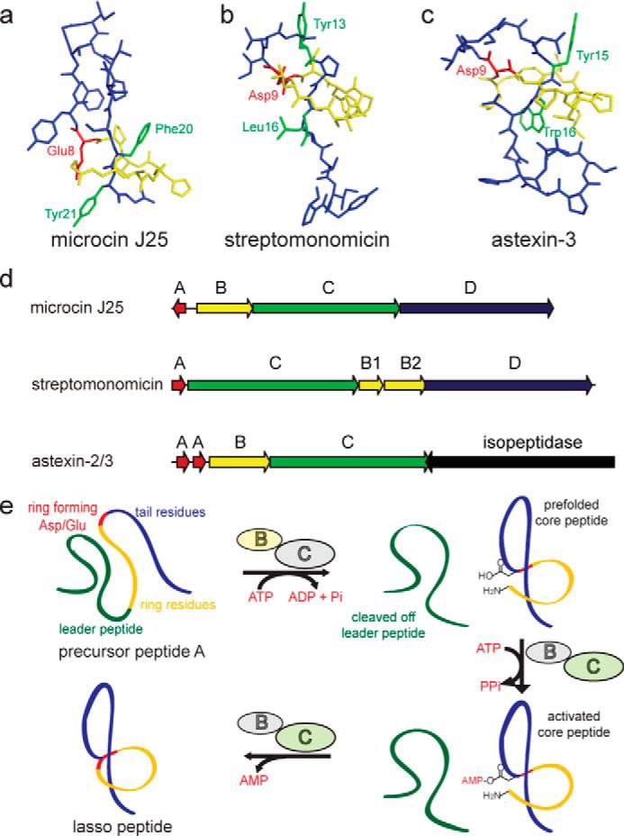 FIGURE 1.