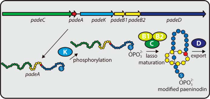 FIGURE 10.