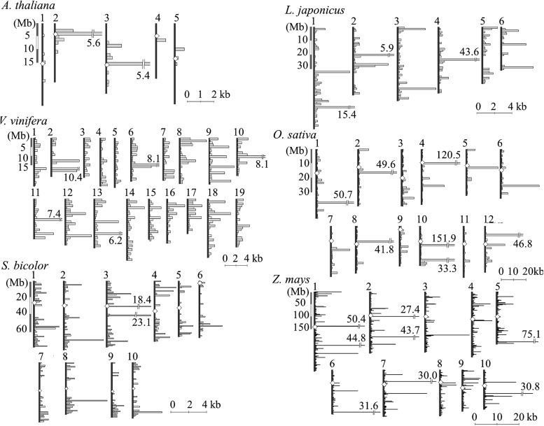 Figure 2.