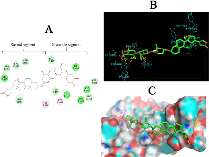 Figure 3.