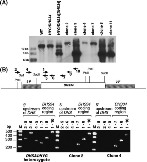 FIGURE 7.