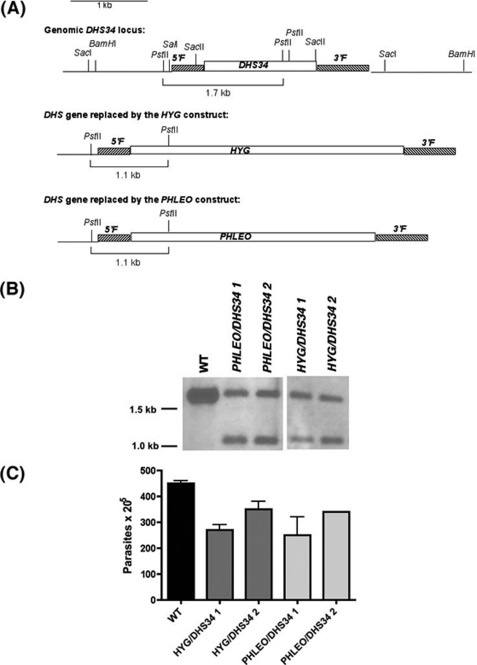 FIGURE 6.