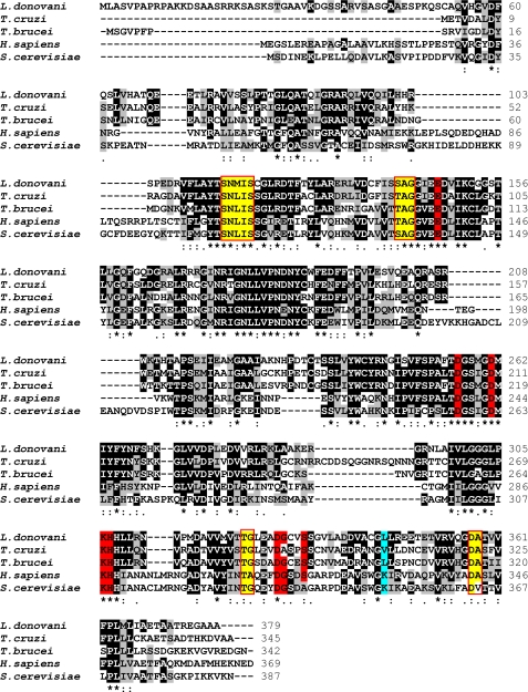 FIGURE 1.