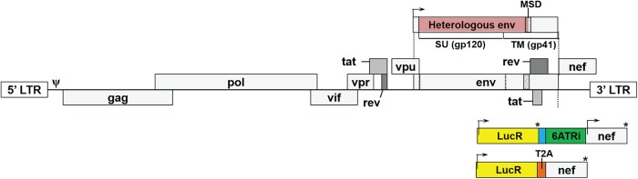 FIG 1