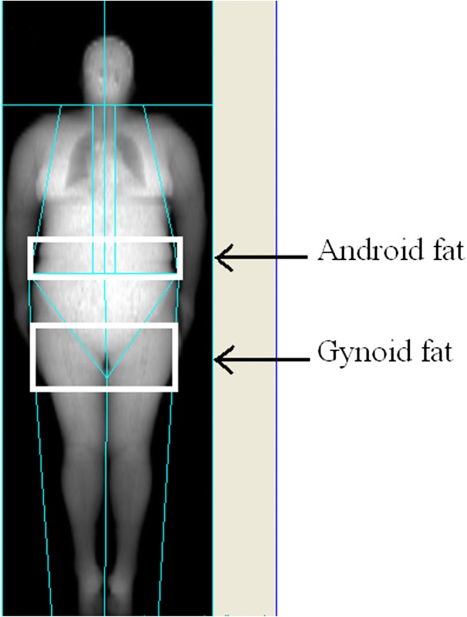 Fig. 1