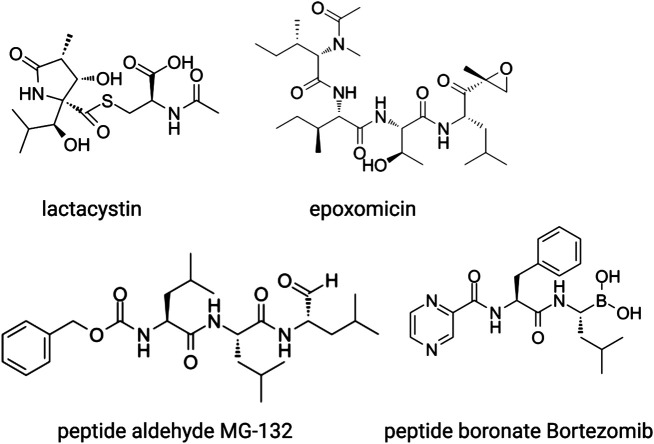 FIGURE 4