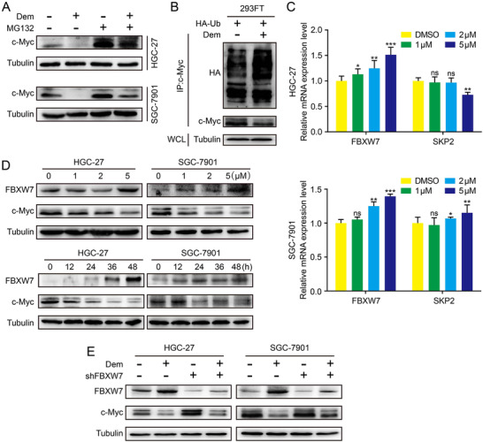 FIGURE 4