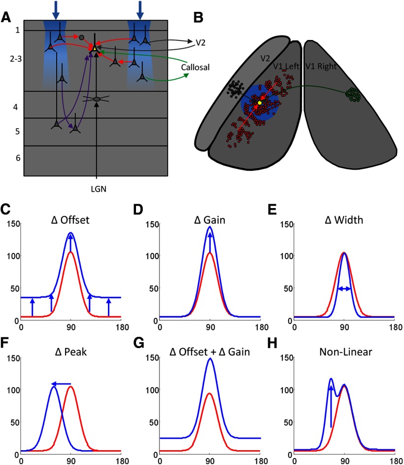 Figure 11.