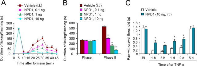 Figure 10.