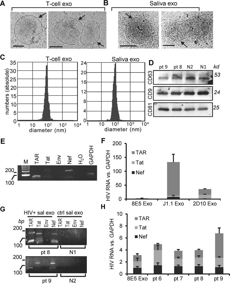 FIG 1