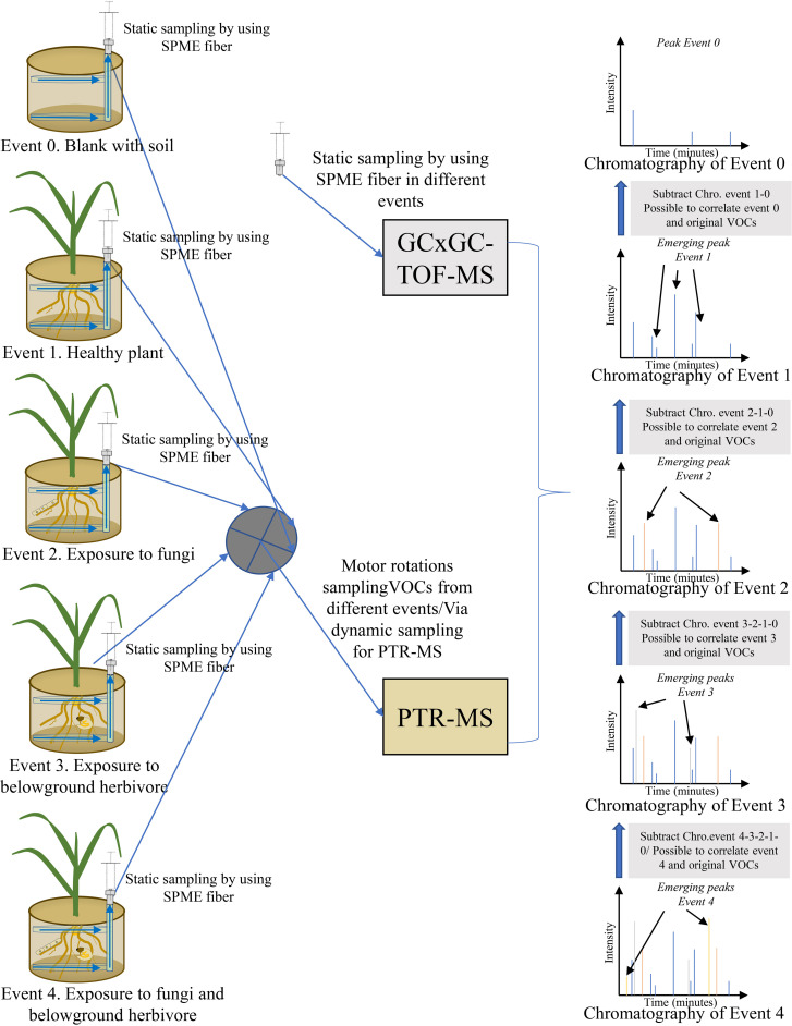 Figure 4