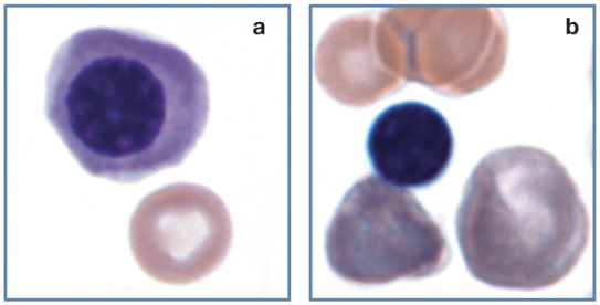 Figure 13