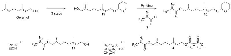 Scheme 3