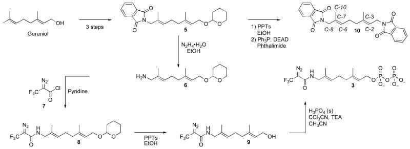 Scheme 1