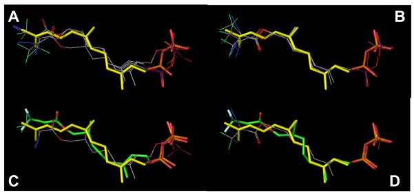 Figure 13