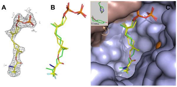 Figure 14