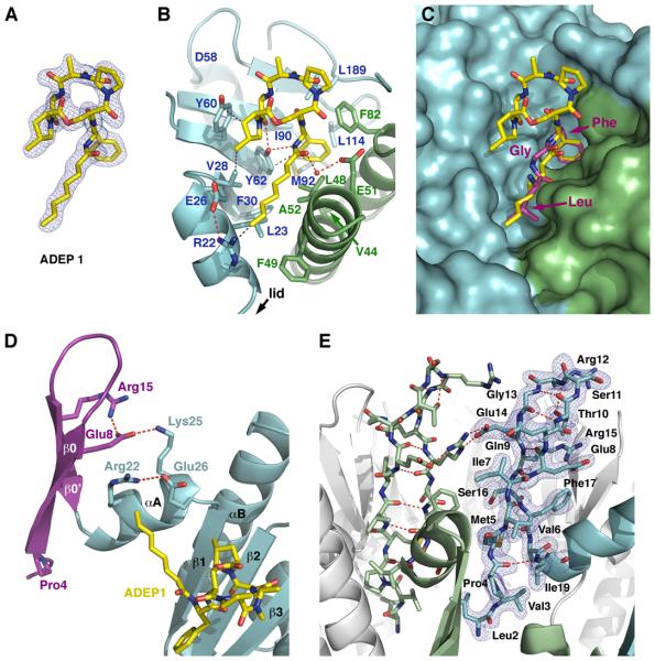 Figure 5