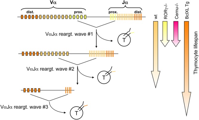 Fig 10