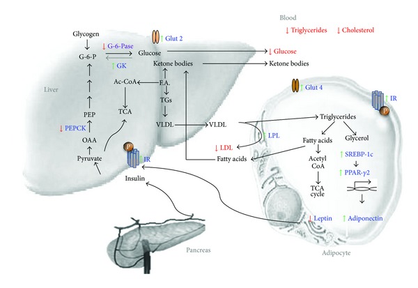 Figure 10