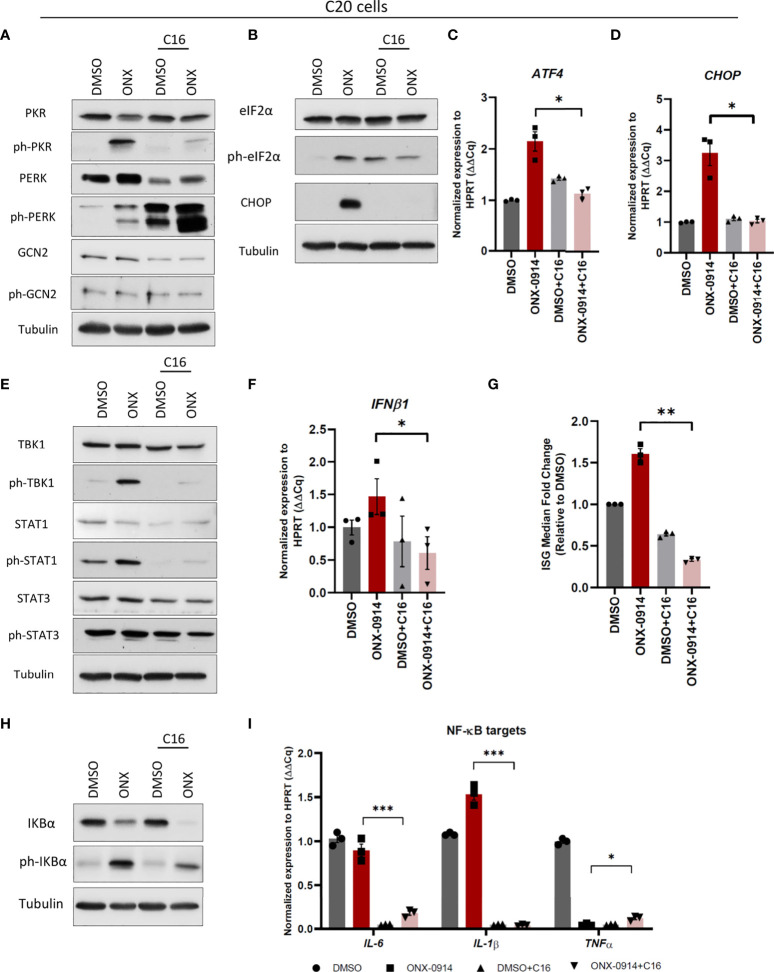 Figure 6