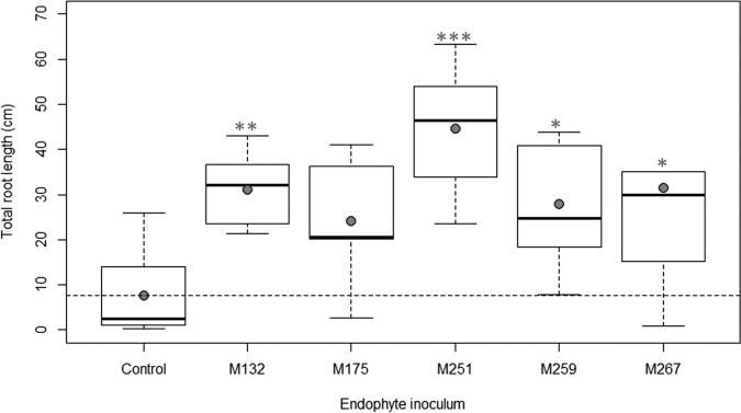 FIG 2