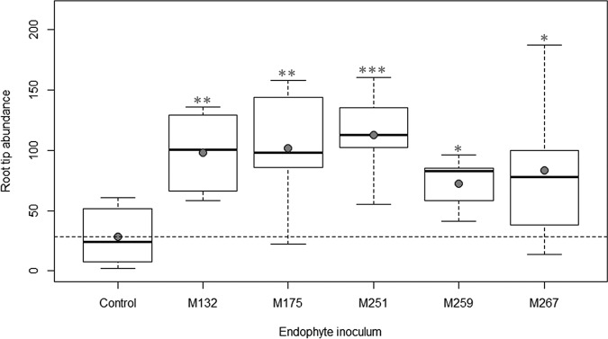 FIG 3