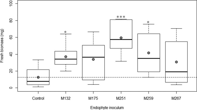 FIG 1