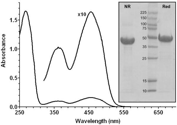 FIGURE 2