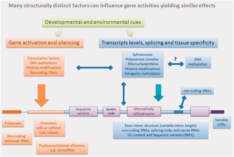 Figure 1: