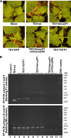 FIG 2