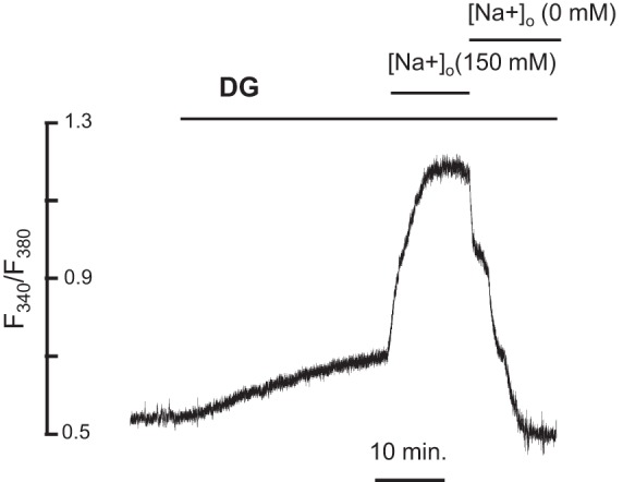 Fig. 1.