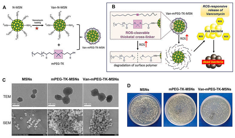 Figure 6