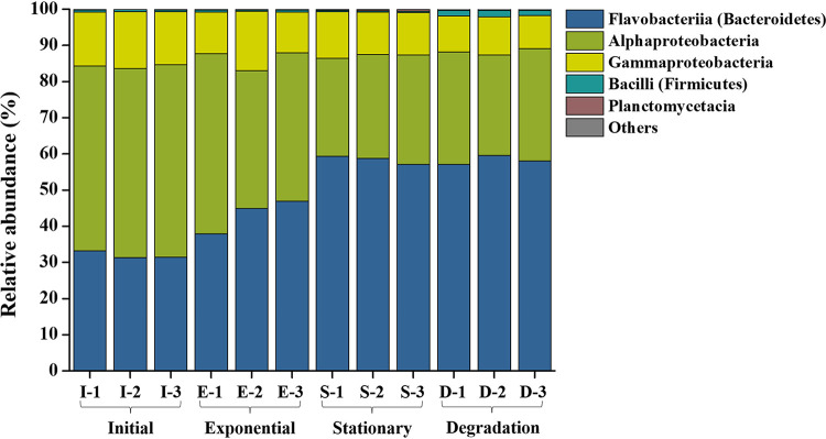 FIG 6