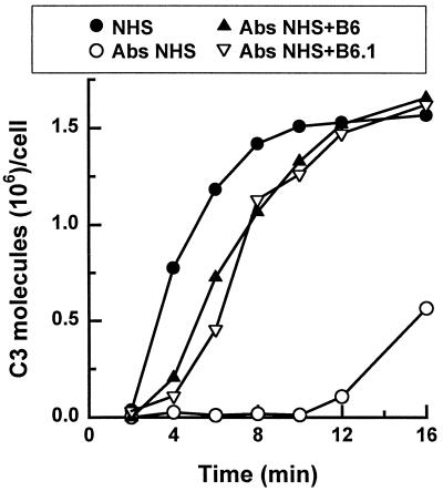 FIG. 1