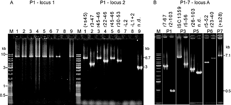 Fig. 5