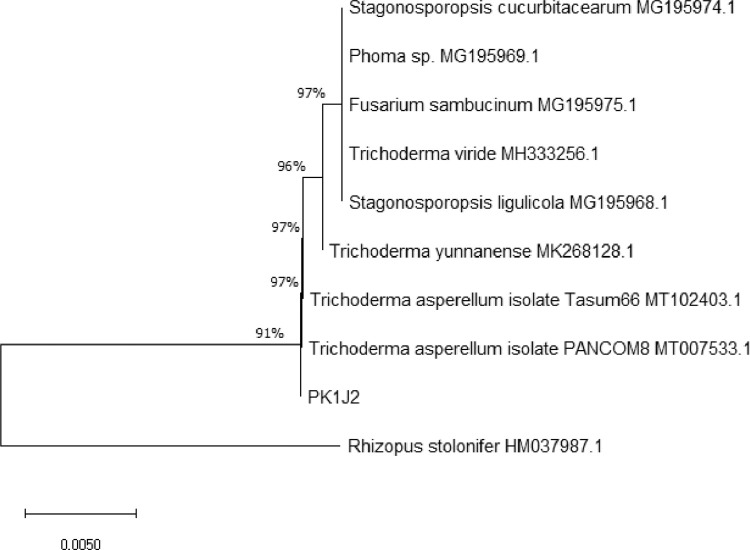 Fig 1