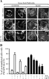 FIG. 7.