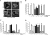 FIG. 8.