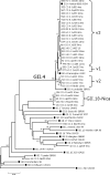 FIG. 2.