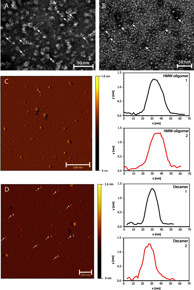 FIGURE 3.