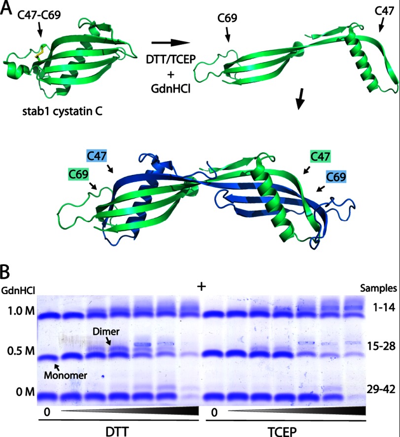 FIGURE 1.