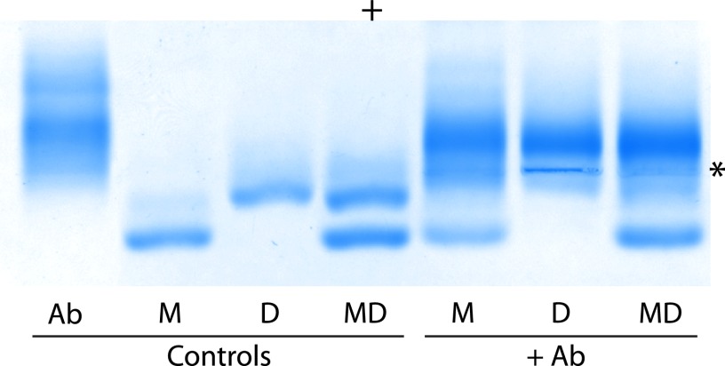 FIGURE 9.