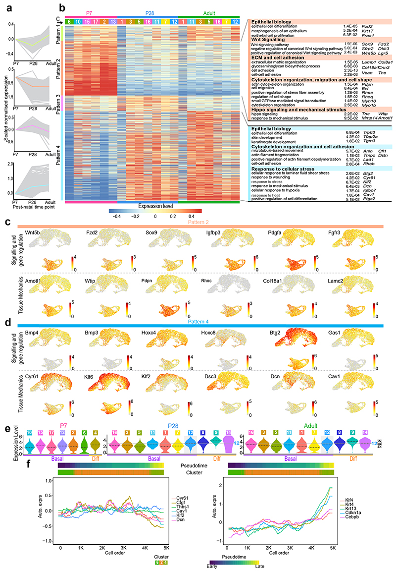 Extended Data Fig. 4