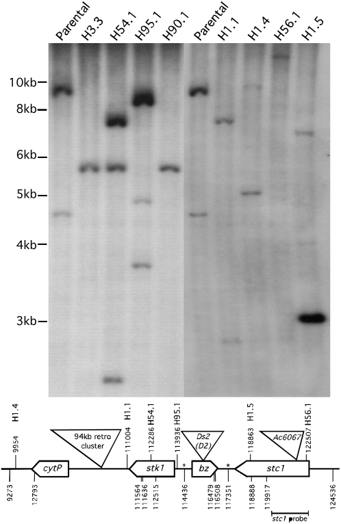 Figure 3.