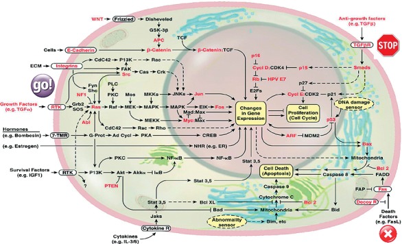 Figure 6.